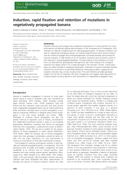 Induction, rapid fixation and retention of mutations in vegetatively