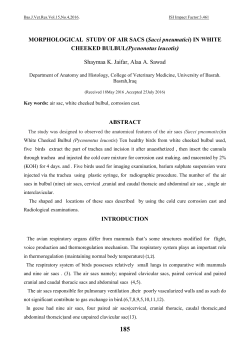 MORPHOLOGICAL STUDY OF AIR SACS (Sacci pneumatici) IN