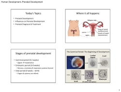 Human Growth and Development