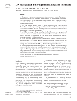 Dry mass costs of deploying leaf area in relation to leaf size