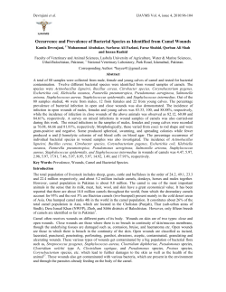 prevalence and incidence of bacterial species