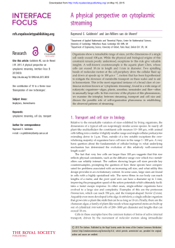 A physical perspective on cytoplasmic streaming - damtp