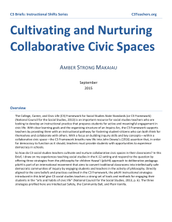 Cultivating and Nurturing Collaborative Civic Spaces
