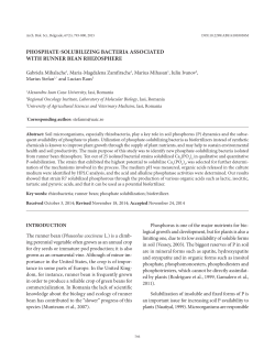phosphate-solubilizing bacteria associated with runner