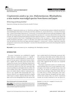 Cryptonemia asiatica sp. nov. (Halymeniaceae