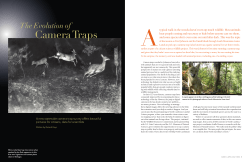 Mar/Apr - Candid Critters - North Carolina Wildlife Resources