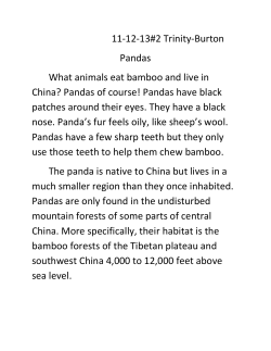 11-12-13#2 Trinity-Burton Pandas What animals eat bamboo and