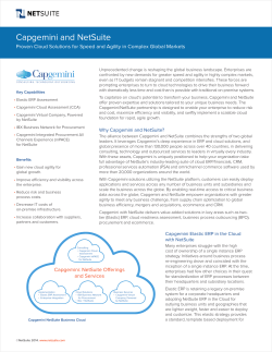 Capgemini and NetSuite &ndash; Proven Cloud Solutions for Speed and