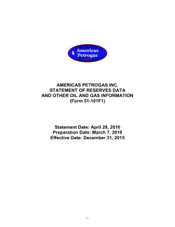 AMERICAS PETROGAS INC. STATEMENT OF RESERVES DATA