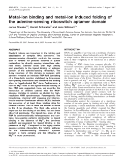 Metal-ion binding and metal-ion induced folding of the adenine