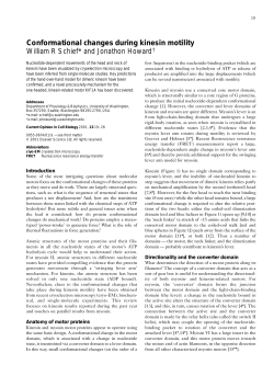 Conformational changes during kinesin motility William R Schief