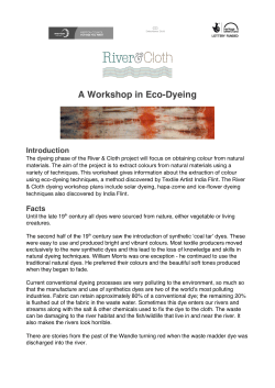 A Workshop in Eco