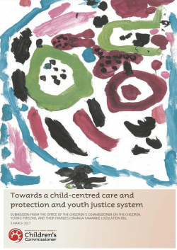 (pdf 829 KB) - Office of the Children`s Commissioner