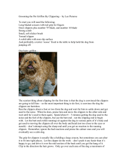 Grooming the Pet Griffon By Clippering &ndash; by Lee Pieterse To start