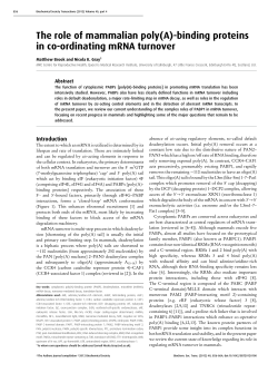 The role of mammalian poly(A) - Biochemical Society Transactions