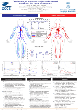 Development of a maternal cardiovascular network model over the