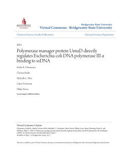 Polymerase manager protein UmuD directly regulates Escherichia