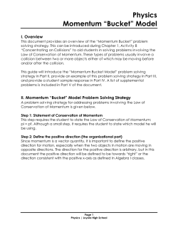 Physics Momentum &ldquo;Bucket&rdquo; Model