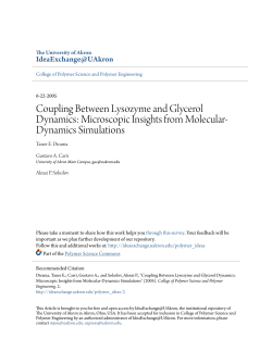Coupling Between Lysozyme and Glycerol Dynamics: Microscopic
