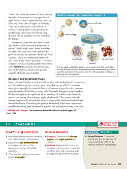 ASSESSMENT Connecting CONCEPTS