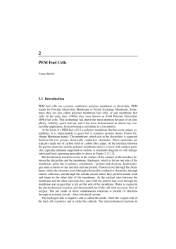 PEM Fuel Cells
