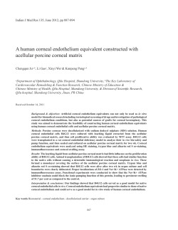 A human corneal endothelium equivalent constructed with