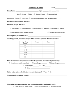 Incoming Cat Profile