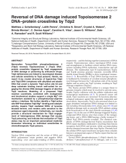 PDF - Oxford Academic - Oxford University Press