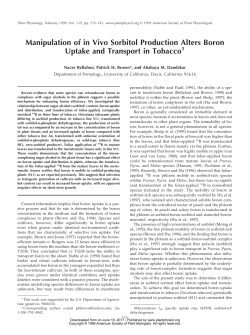 Manipulation of in Vivo Sorbitol Production Alters Boron Uptake and