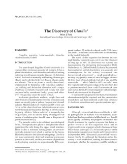 The Discovery of Giardia