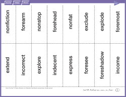 Sort 29- Prefixes ex-, non-