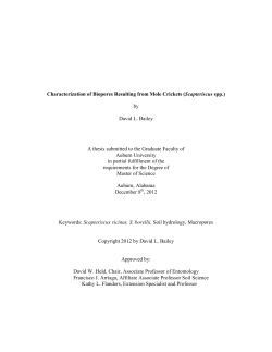 Characterization of Biopores Resulting from Mole Crickets