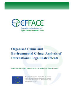 EFFACE_Organised Crime and Environmental Crime_International