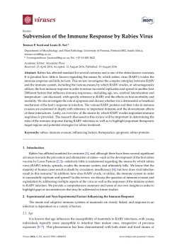 Subversion of the Immune Response by Rabies Virus