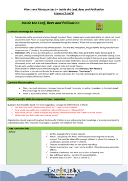 Inside the Leaf, Bees and Pollination