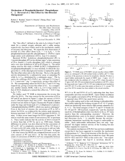 Mechanism of Phosphatidylinositol&minus; Phospholipase C. 2. Reversal