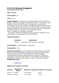 C11119 Animal Kingdom