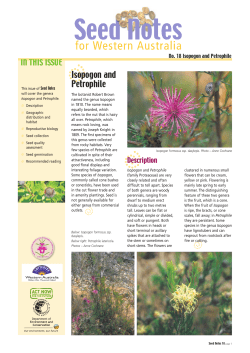 Isopogon and Petrophile1.42 MB