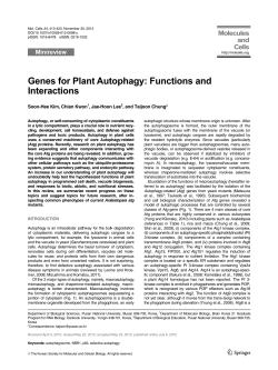 Genes for Plant Autophagy: Functions and Interactions