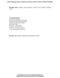 F-box Proteins in Rice. Genome-wide Analysis, Classification
