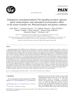 Endogenous nociceptin/orphanin FQ signalling produces opposite