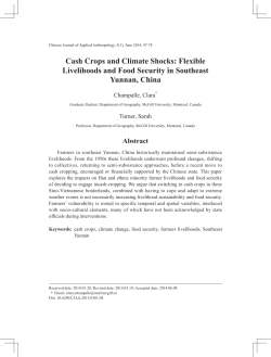 Flexible Livelihoods and Food Security in Southeast Yunnan, China