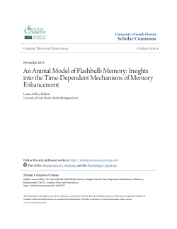 An Animal Model of Flashbulb Memory: Insights