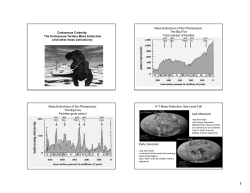 Cretaceous Calamity: The Cretaceous