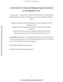 Arsenite interferes with protein folding and triggers formation of