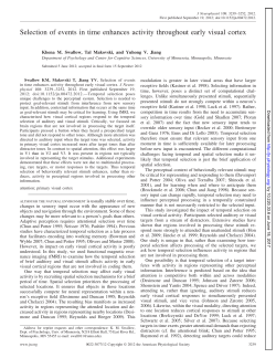 Selection of events in time enhances activity throughout early visual