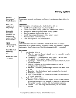 Urinary System