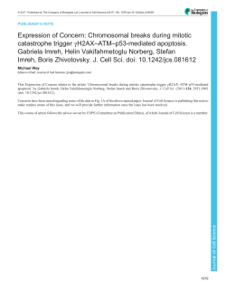 Chromosomal breaks during mitotic catastrophe trigger &gamma;H2AX&ndash;ATM