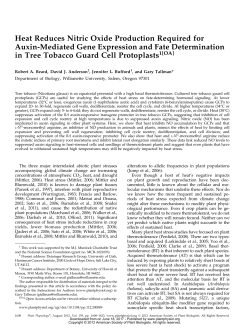 Heat Reduces Nitric Oxide Production Required