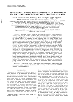 TRANSATLANTIC DEVELOPMENTAL MIGRATIONS OF